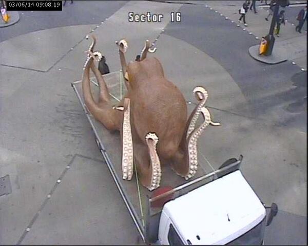Octopus Oxford Street 2