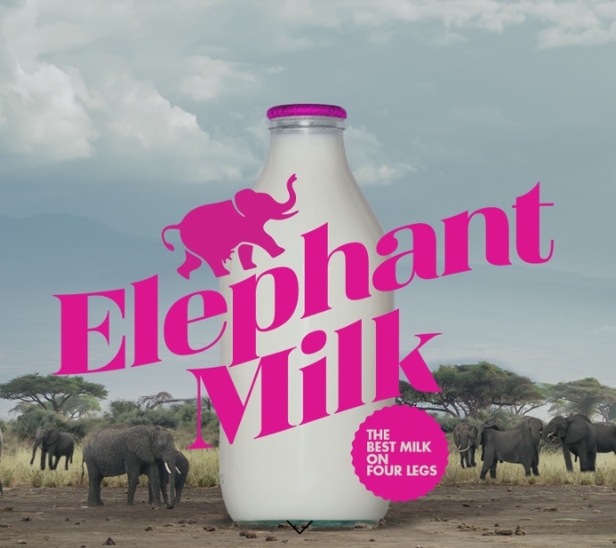 elephant milk