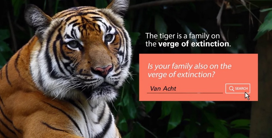 WWF appeal to families 'on the verge of extinction' in this charity PR  campaign | Famous Campaigns