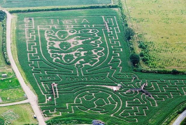 150 years FA - Maize Maze